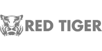 Transferencia Chile logo